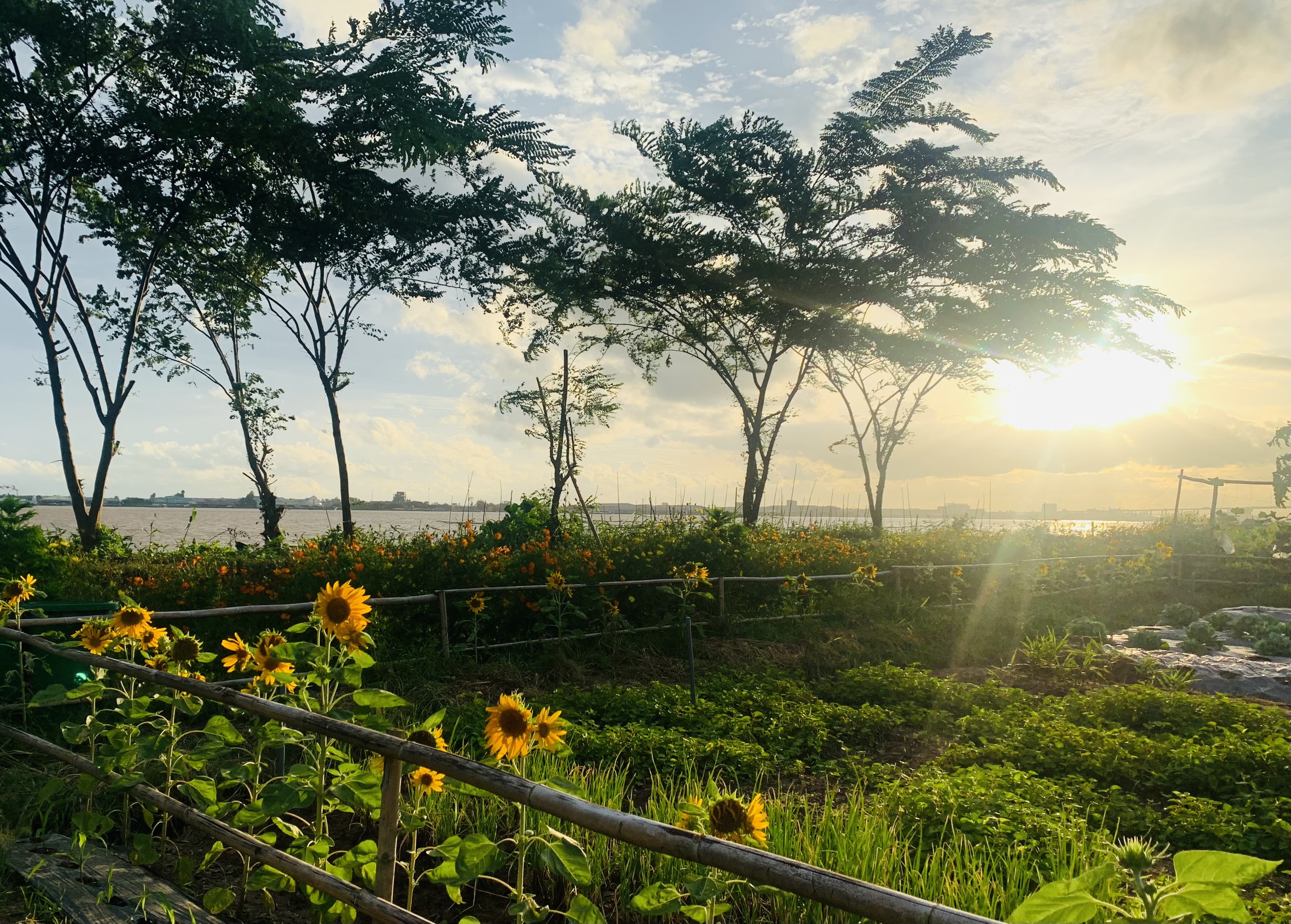 Huy Việt Tây Đô